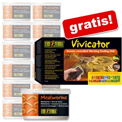 Hagen Exo-Terra Insekten 12 x 34 g + Vivicator Napf gratis! - - Grasshoppers Preisvergleich
