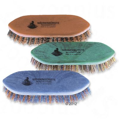 Petite brosse à crinière Haas- 1 brosse