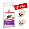 Royal Canin Feline +�2 ratones para gatos gratis! - - Exigent 35/30 - Savour Sensation (10 kg)