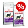 Lot �conomique : croquettes Royal Canin 10,5/12/16/20 kg - Indoor +7 (3 x 3,5 kg)