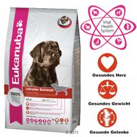 Eukanuba Breed Labrador Retriever Hundefutter Sparpaket 2 x 12 kg