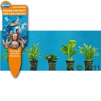 kaufen vergleich Dennerle Aquarienpflanzen Vordergrund Sortiment     9 Pflanzen - Dennerle