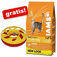  10/15 kg Iams + Round About GRATIS! - - Adult met lam (10 kg) 