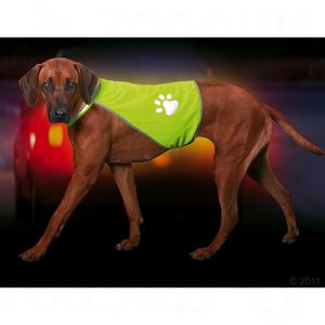 Safety-Dog gilet di sicurezza per can...
