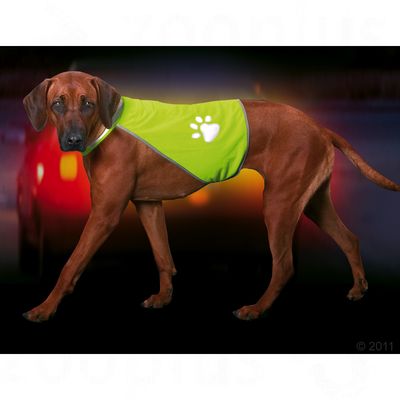Gilet de sécurité Safety-Dog- taille L
