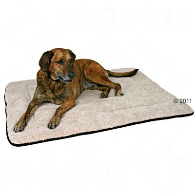 Couverture pour chien Cody- L 125 x l 100 cm