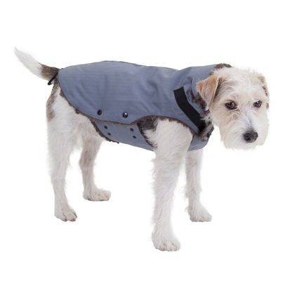Hundemantel Frosty – ca. Rueckenlaenge 30 cm