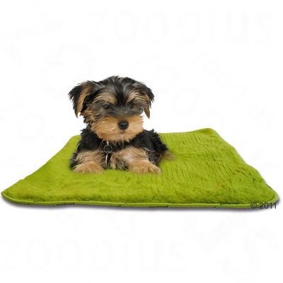 Mucki Thermodecke Apfel Gruen – L 75 x B 70 cm