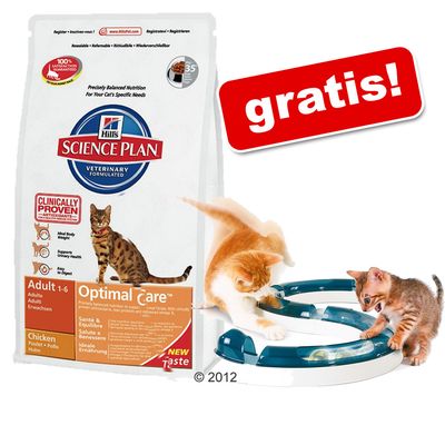 Gro&szlig;gebinde Hills Feline + Catit Spielschiene gratis! - - Adult Indooor Cat (2 x 4 kg) Preisvergleich