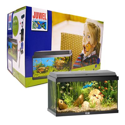 Juwel Aquarium Korall 60 - 54 Liter, 61 x 31 x 38 cm, schwarz