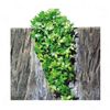 Lierre artificiel JBL TerraPlanta Congo - L 50 x l 17 cm