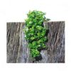 JBL TerraPlanta Amaz. Philo - - 17,7 x 51 x 5,5 cm (LxAnxAlt)