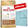 Royal Canin Breed + serviette en microfibres ! - Basset et Teckel 28 Adult (6 kg)