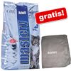 Mastery pienso para gatos + manta Mastery�gratis! - - Adult Preference con pescado del mar del norte