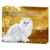 Calendario de Adviento Gourmet - - 24 x 85 g + juguete