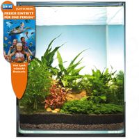 kaufen vergleich Dennerle Nano Landschaft Microsorum Cube 20 Liter     6 Pflanzen - Dennerle