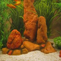 kaufen vergleich Hinkelstein Large     1 St�ck, Ma�e: 28 X 16 X 27 Cm - Zooplus