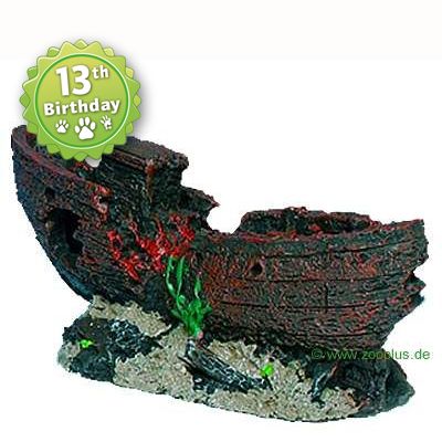 aquarium plants decoration