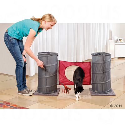 Agility-Set fuer Katzen - 1 Agility-Set