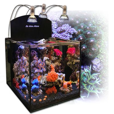 Nano aquarium récifal Yasha Aqua Medic 36 L- L 30 x l 40 x H 30 cm