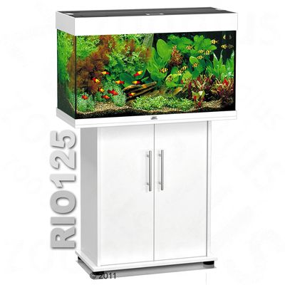 Ensemble aquarium/sous-meuble Juwel Rio 125, blanc- blanc