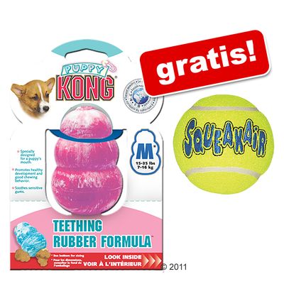 Puppy Kong + Tennisball gratis! - Large