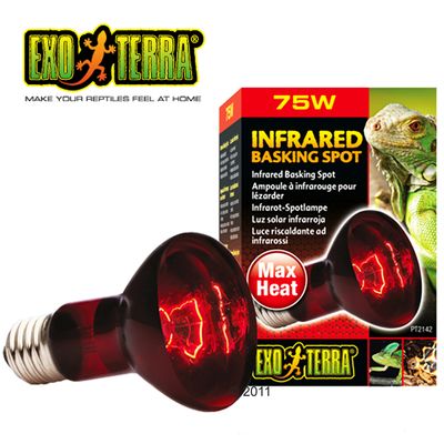 Hagen Exo Terra Infrarot-Waermelampe Heat Glo - 100 W