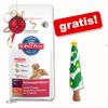 Hill's pienso para perros + jugueteárbol navideño ¡gratis! - - Hill's Mature Adult Senior con cordero y arroz (12 kg)