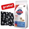 Hill's Canine Senior + manta Barney�gratis! - - Hill's Mature Adult Senior con cordero y arroz (12 kg)