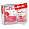 Binutrition Royal Canin Kitten 36 + Kitten Instinctive - 400 g de croquettes Kitten + 6 sachets fra�cheur offerts !