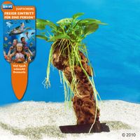kaufen vergleich Dennerle Aquarienpflanzen Mbuna Klein     1 Mbuna Klein, H�he Ca. 14   16 Cm - Dennerle