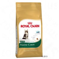 Royal Canin Maine Coon Kitten Kattenvoer - - 10 kg