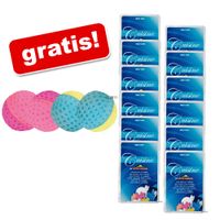 12 x 70 g Almo Nature Cuisine + 4 softballen GRATIS! - - kip met pompoen 