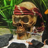 kaufen vergleich Gro�er Totenkopf     1 St�ck, Ma�e: 17 X 16 X 12 Cm - Zooplus