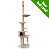 kratzbaum-natural-home-v-beige Kratzbaum Natural Home V - - beige