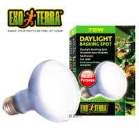 kaufen vergleich Hagen Exo Terra Neodymium Tageslichtlampe Sun Glo Spot     75 W - Hagen