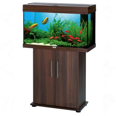 Confronta prezzi Set acquario + supporto Juwel Rio 125 - nero