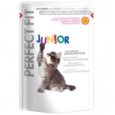 Perfect Fit Junior 6 x 85 g- 24 x 85 g
