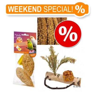 JR Farm Spring Pack for Birds - 3 products