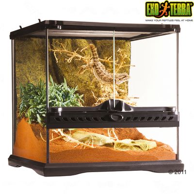 Hagen Exo Terra Glass Terrarium with Back Wall - Size: 30 x 30 x 45 cm (L x W x H)