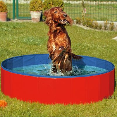 Piscine pour chien Doggy Pool- L 80 x H 20 cm