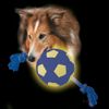 Pelota para perros Day&Night Action - - 1 unidad
