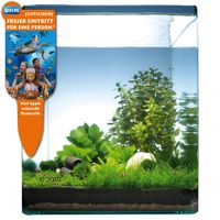 kaufen vergleich Dennerle Nano Landschaft Pantanal Bay 20 Liter     9 Pflanzen - Dennerle