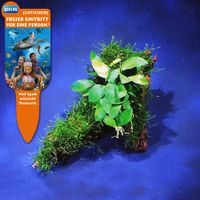 kaufen vergleich Dennerle Aquarienpflanzen Bepflanzte Wurzel     1 Bepflanzte Wurzel - Dennerle