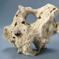 Jura Lochstein Sansibar Rock - - ca. 5 kg, 3 - 5 Steine je ca. 1 - 3 kg