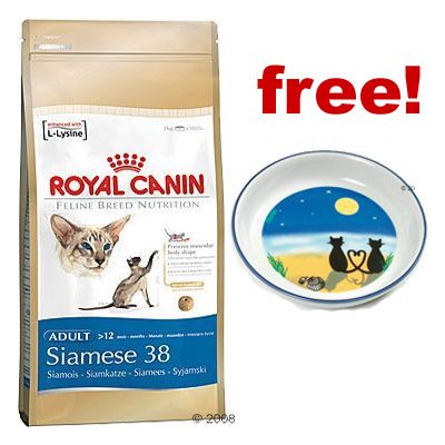 Large Bags Royal Canin Breed + Ceramic Cat Bowl Free! - British Shorthair 34 (10