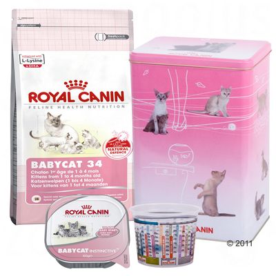 Royal Canin Kitten Starter Set - - Kitten 36 (400 g)