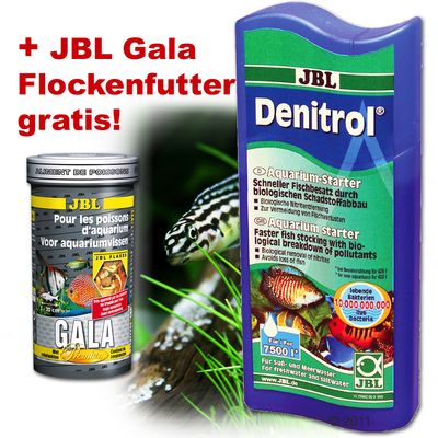 JBL Denitrol Bakterienstarter + JBL Gala 100ml gratis! - Denitrol 250 ml fuer 7500 l + 100ml Gala Flockenfutter gratis!