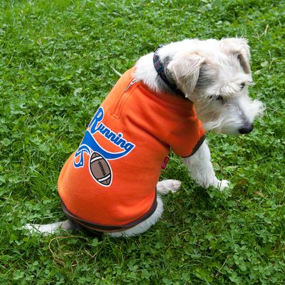 Pull-over pour chien Running Football- taille XS : tour de dos 20 cm