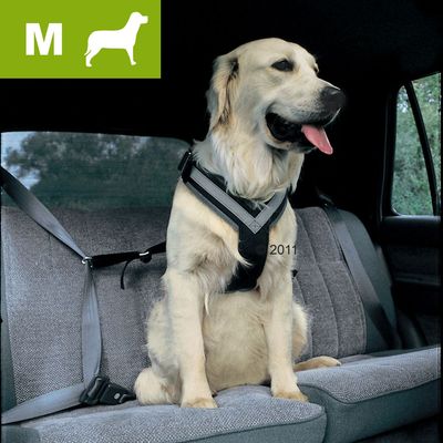 Kleinmetall Allsafe Sicherheitsgurt, Groesse M - fuer mittelgrosse Hunde